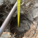digging wholes and measuring for depth